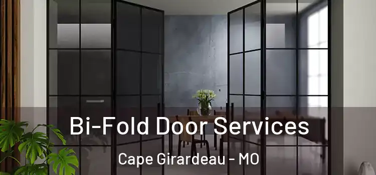 Bi-Fold Door Services Cape Girardeau - MO