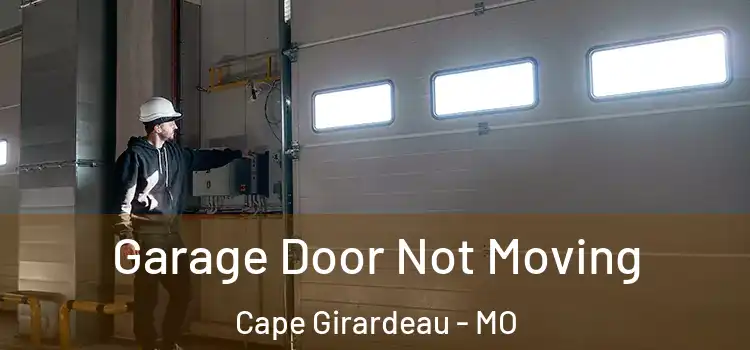  Garage Door Not Moving Cape Girardeau - MO