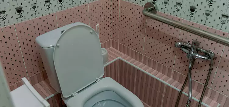 Meeting Diverse Needs With Accessible Restroom Solutions in Cape Girardeau, MO