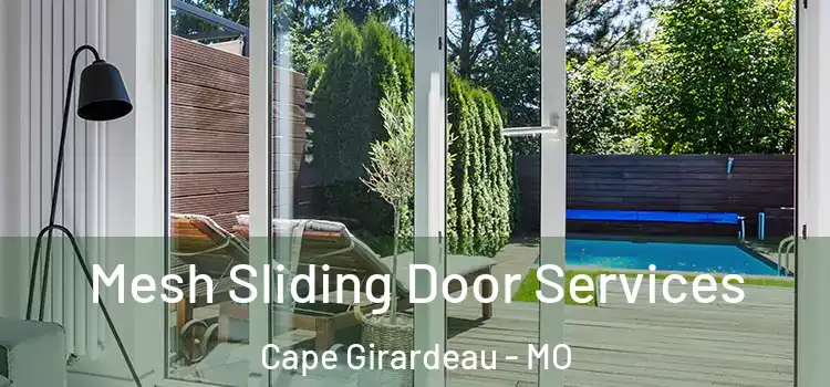 Mesh Sliding Door Services Cape Girardeau - MO