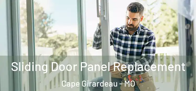  Sliding Door Panel Replacement Cape Girardeau - MO